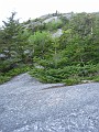 Mt Cardigan NH 2010 0175